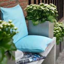 Kalanchoe 'Calandiva'®, Weiß, Topf-Ø 12 Cm, Höhe Ca. 27,5 Cm, 6er-Set -Gartenbedarf Verkäufe 0210350168 Kalanchoe Cal weiss2