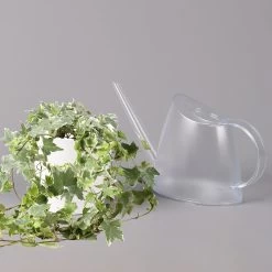 Hedera Helix 'Variegata' In Keramiktopf Dallas Weiß, Topf-Ø 12/13 Cm, 3er-Set 11 Hedera Helix 'Variegata' In Keramiktopf Dallas Weiß, Topf-Ø 12/13 Cm, 3er-Set -Gartenbedarf Verkäufe 0220650237 Hedera weissbunt in Topf Dallas weiss 3