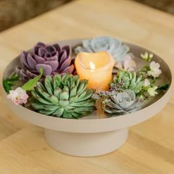 Schnittecheverien-Mix, Ø 16 Cm, 2er-Set 13 Schnittecheverien-Mix, Ø 16 Cm, 2er-Set -Gartenbedarf Verkäufe 0250103364 Echeveria Mix 7 10cm in DIY Box 4 117171 5