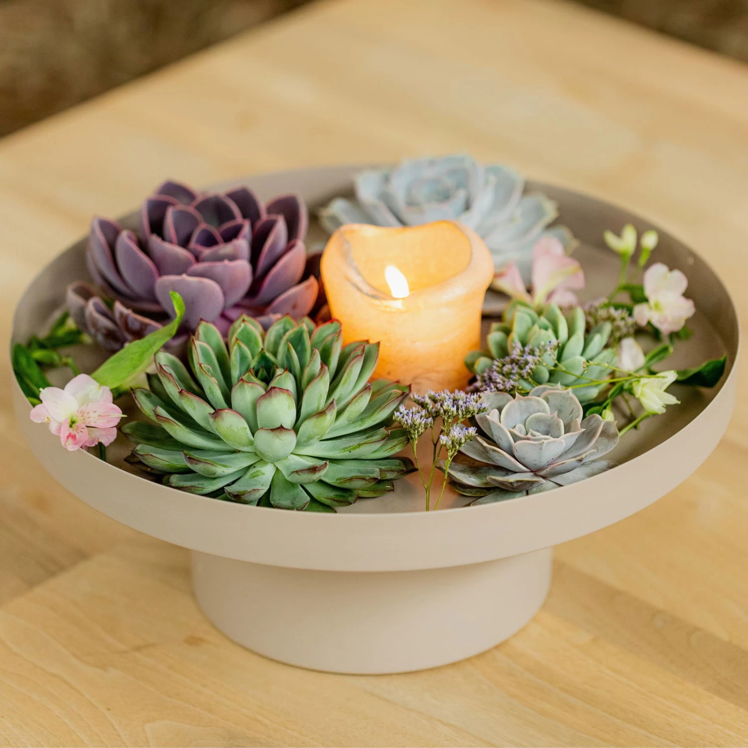 Schnittecheverien-Mix, Ø 16 Cm, 2er-Set 6 Schnittecheverien-Mix, Ø 16 Cm, 2er-Set – Bild 6