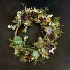 Schnittecheverien-Mix, Ø 12 Cm, 4er-Set 12 Schnittecheverien-Mix, Ø 12 Cm, 4er-Set -Gartenbedarf Verkäufe 0250103364 Echeveria Mix 7 10cm in DIY Box 5 117175 1