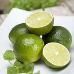 Echter Limettenbaum, Stamm, Topf-Ø 20 Cm, Höhe Ca. 60 Cm -Gartenbedarf Verkäufe 0630300012 Citrus aurantifolia Stamm T20 gruene Limette 2 114793