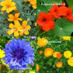 Blumensamen-Set Gourmet Blumen, Essbar, Bienenfreundlich, Dekorativ 9 Blumensamen-Set Gourmet Blumen, Essbar, Bienenfreundlich, Dekorativ -Gartenbedarf Verkäufe 0710403583 Blumensamen Set Gourmet Blumen 4essbare Sorten mit organ Duenger 5 60480