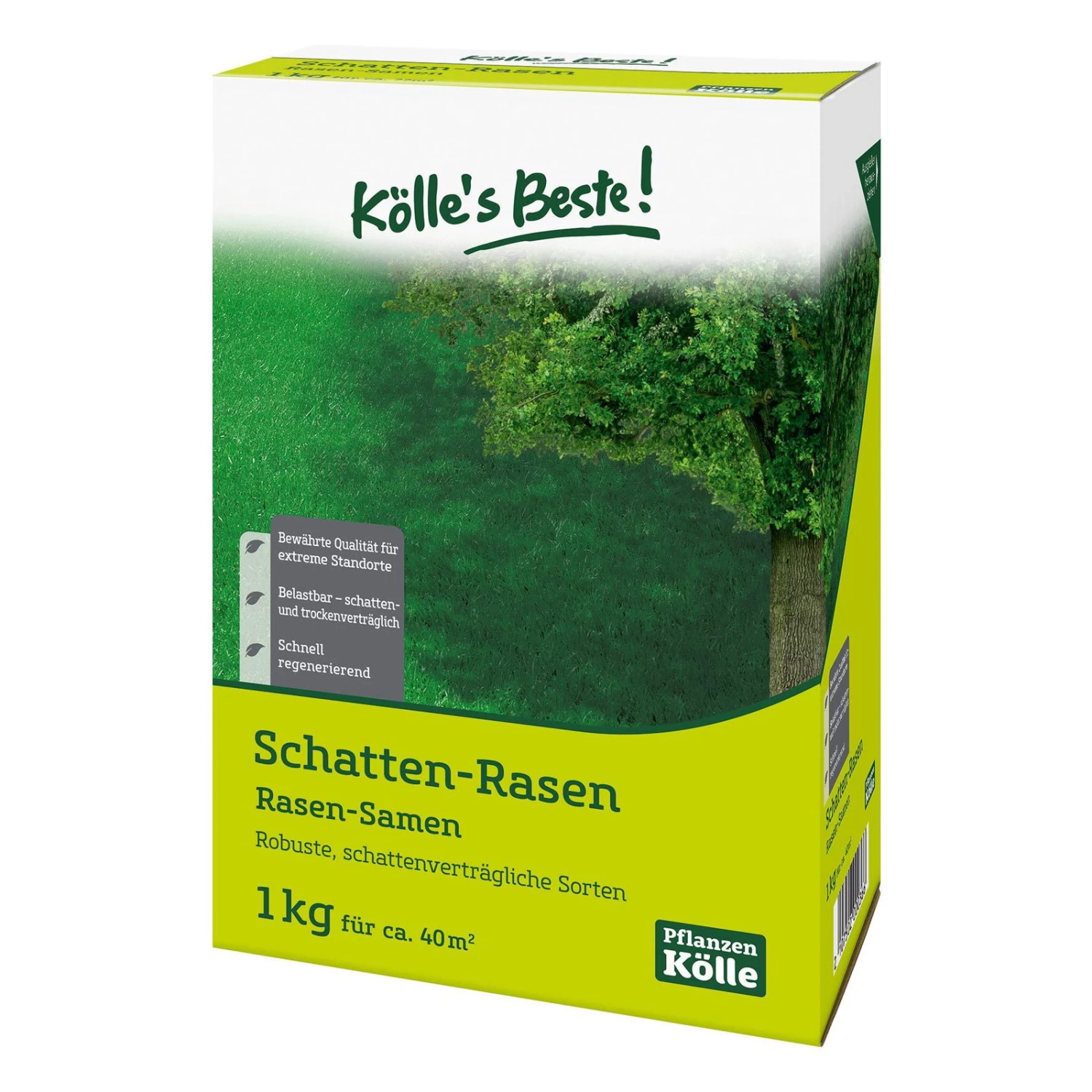 Kölle's Beste Schattenrasen Mit Lägerrispe Poa Supina, 1 Kg 1 Kölle's Beste Schattenrasen Mit Lägerrispe Poa Supina, 1 Kg