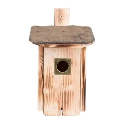 Kölle Nistkasten Für Stare Aus Fichtenholz Mit Dachpappe