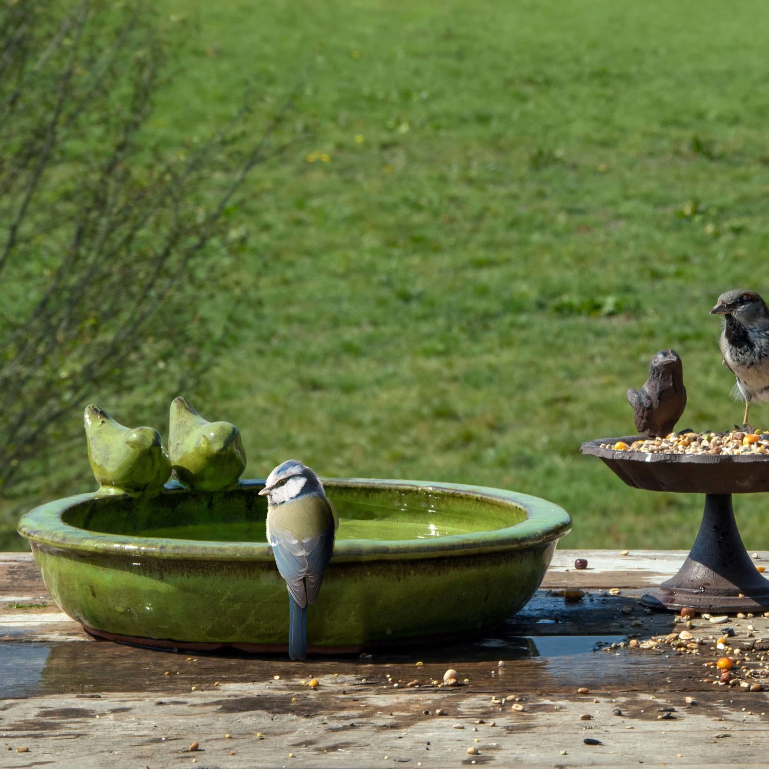 Vogeltränke Rund M, Grün, Keramik 1 Vogeltränke Rund M, Grün, Keramik
