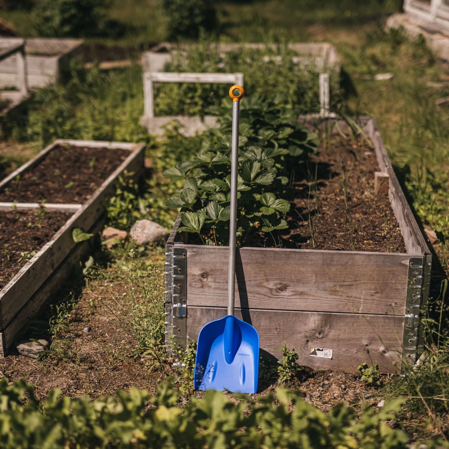 Schaufel 'MyFirst Fiskars', Blau/orange 3 Schaufel 'MyFirst Fiskars', Blau/orange – Bild 3