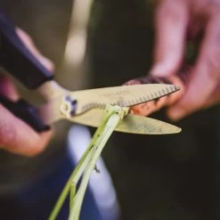 Gemüseschere Solid™ SP240, Schwarz/orange, Ca. 20 X 2 X 9 Cm 9 Gemüseschere Solid™ SP240, Schwarz/orange, Ca. 20 X 2 X 9 Cm -Gartenbedarf Verkäufe 0920300733 solid gemuese schere sp240 4 118065