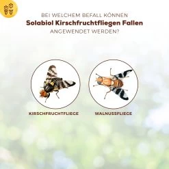 Solabiol Kirschfruchtfliegenfalle, 5er-Pack 7 Solabiol Kirschfruchtfliegenfalle, 5er-Pack -Gartenbedarf Verkäufe 0950200760 Solabiol Kirschfruchtfliegenfalle 5Stueck 1 107242