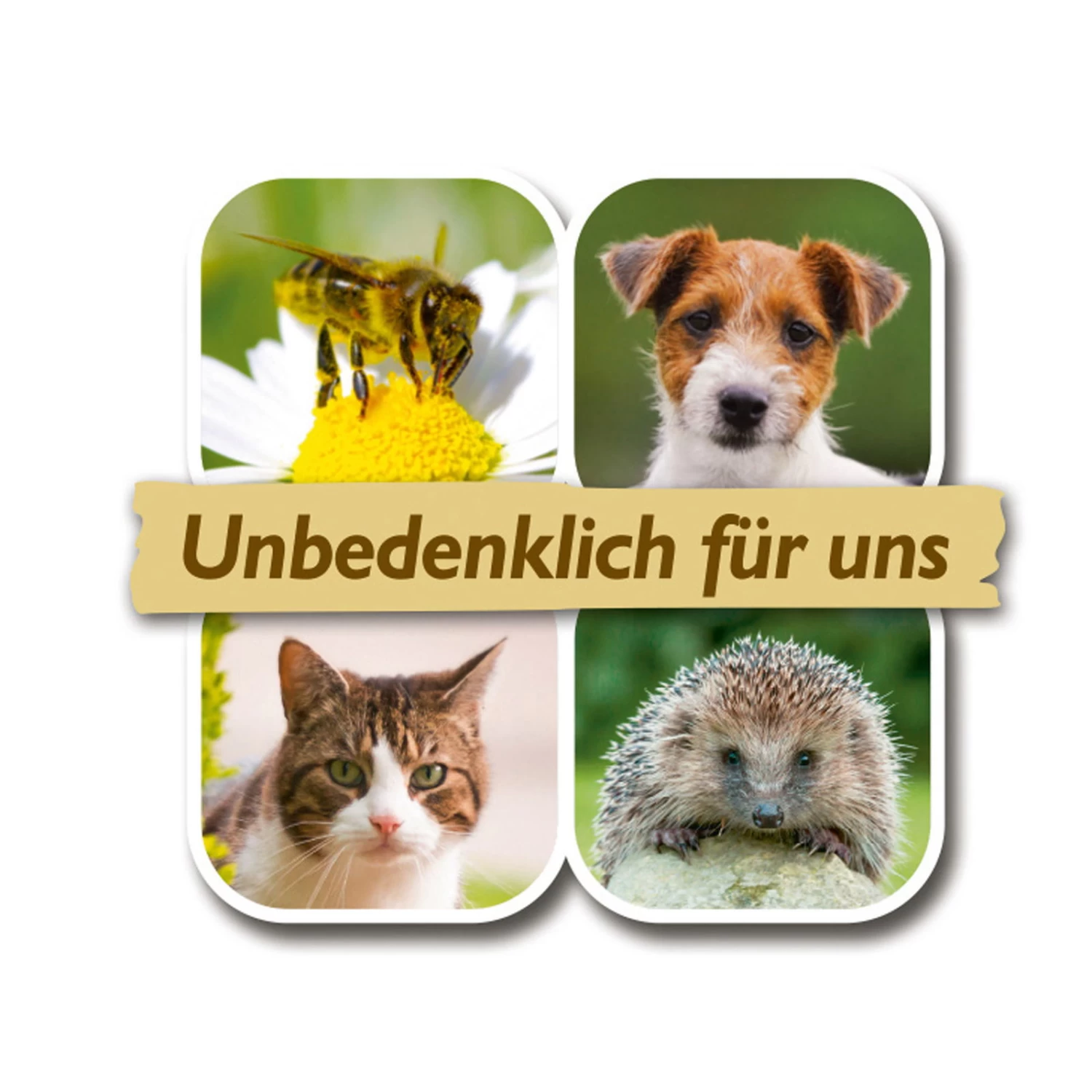 Azet Rasendünger, 5 Kg 3 Azet Rasendünger, 5 Kg – Bild 3