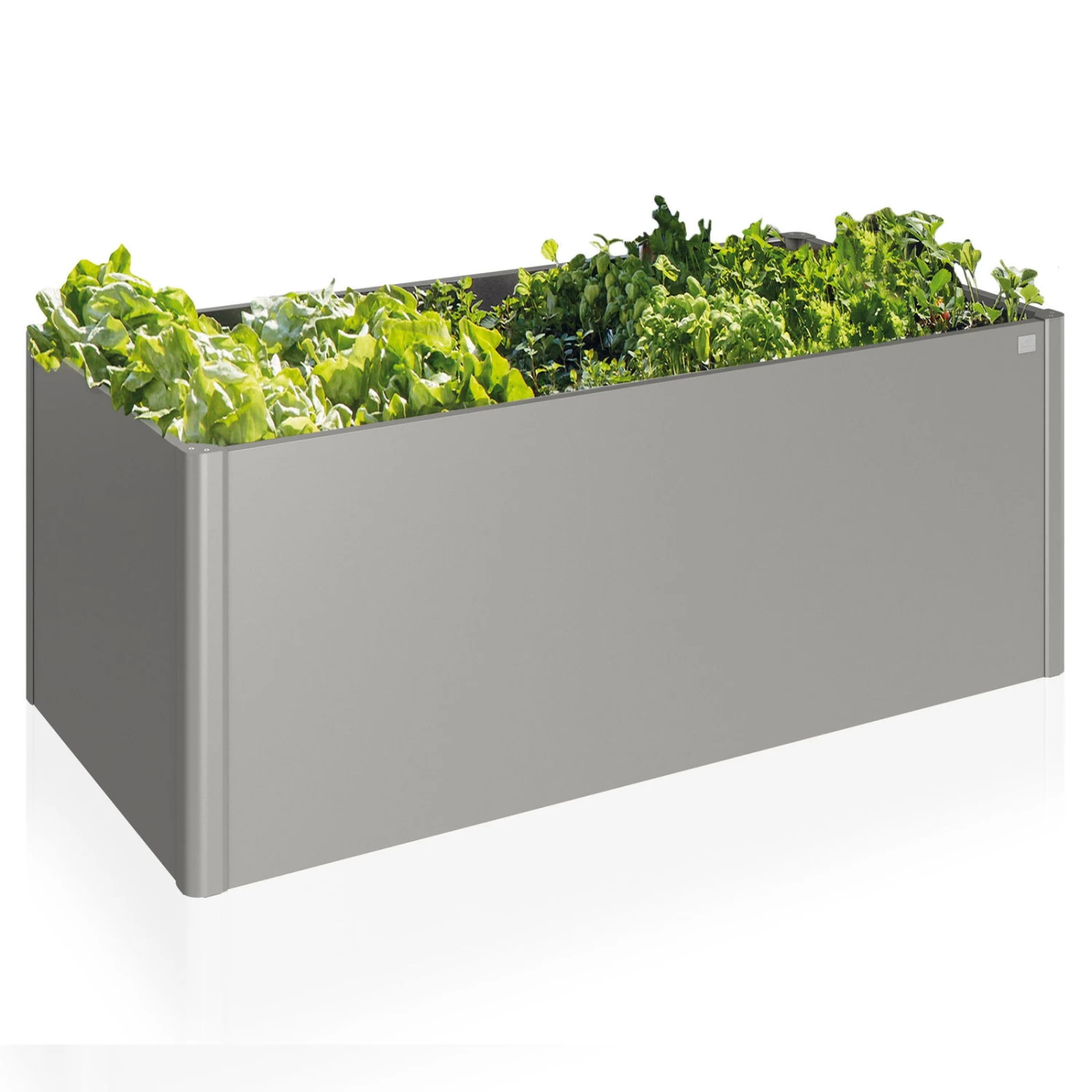 Biohort Hochbeet Als Schöner Hingucker 2 Biohort Hochbeet Als Schöner Hingucker – Bild 2