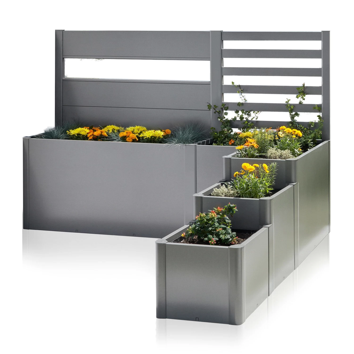 Terrassenabgrenzung 'Da Vinci' Mit Sichtschutz, Quarzgrau-metallic 2 Terrassenabgrenzung 'Da Vinci' Mit Sichtschutz, Quarzgrau-metallic – Bild 2