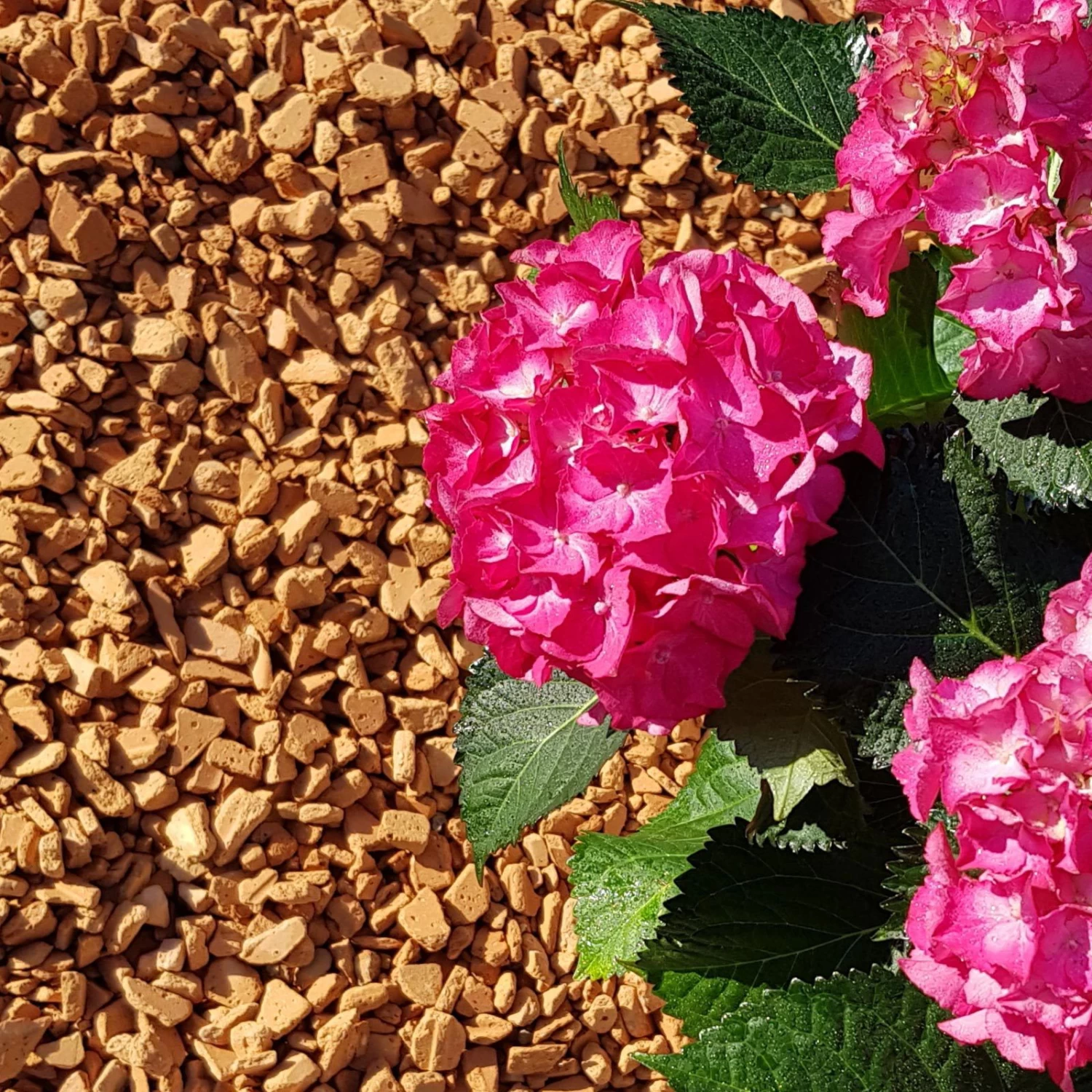 Ziegel-Granulat Granupur 4-20 Mm, 20 Liter 2 Ziegel-Granulat Granupur 4-20 Mm, 20 Liter – Bild 2