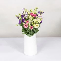 Gemischter Blumenbund 'Lisianthus' Inkl. Gratis Grußkarte 5 Gemischter Blumenbund 'Lisianthus' Inkl. Gratis Grußkarte -Gartenbedarf Verkäufe 1015700001 Lisianthus Mix 10er Bund weiss blau rosa WS 2 94400