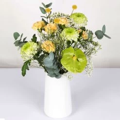 Gemischter Blumenbund 'Grüne Schönheit' Inkl. Gratis Grußkarte 5 Gemischter Blumenbund 'Grüne Schönheit' Inkl. Gratis Grußkarte -Gartenbedarf Verkäufe 1025700013 DIY Mixbund Gruene Schoenheit Nelke Zembla Crasp Euka Gypso Stat Anth 1 94427