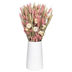 Weißer Trockenstrauß & Rosa Glanzgras, 3er-Set, Länge Ca. 55 - 70 Cm 5 Weißer Trockenstrauß & Rosa Glanzgras, 3er-Set, Länge Ca. 55 - 70 Cm -Gartenbedarf Verkäufe 1055300004 Trockenstrauss weiss Phalaris rosa 1 83167