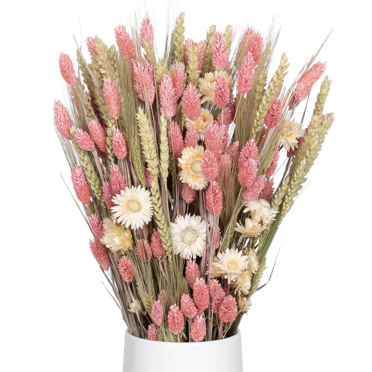 Weißer Trockenstrauß & Rosa Glanzgras, 3er-Set, Länge Ca. 55 - 70 Cm 1 Weißer Trockenstrauß & Rosa Glanzgras, 3er-Set, Länge Ca. 55 - 70 Cm