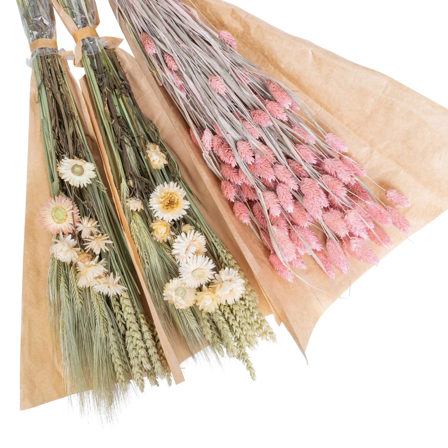 Weißer Trockenstrauß & Rosa Glanzgras, 3er-Set, Länge Ca. 55 - 70 Cm 2 Weißer Trockenstrauß & Rosa Glanzgras, 3er-Set, Länge Ca. 55 - 70 Cm – Bild 2