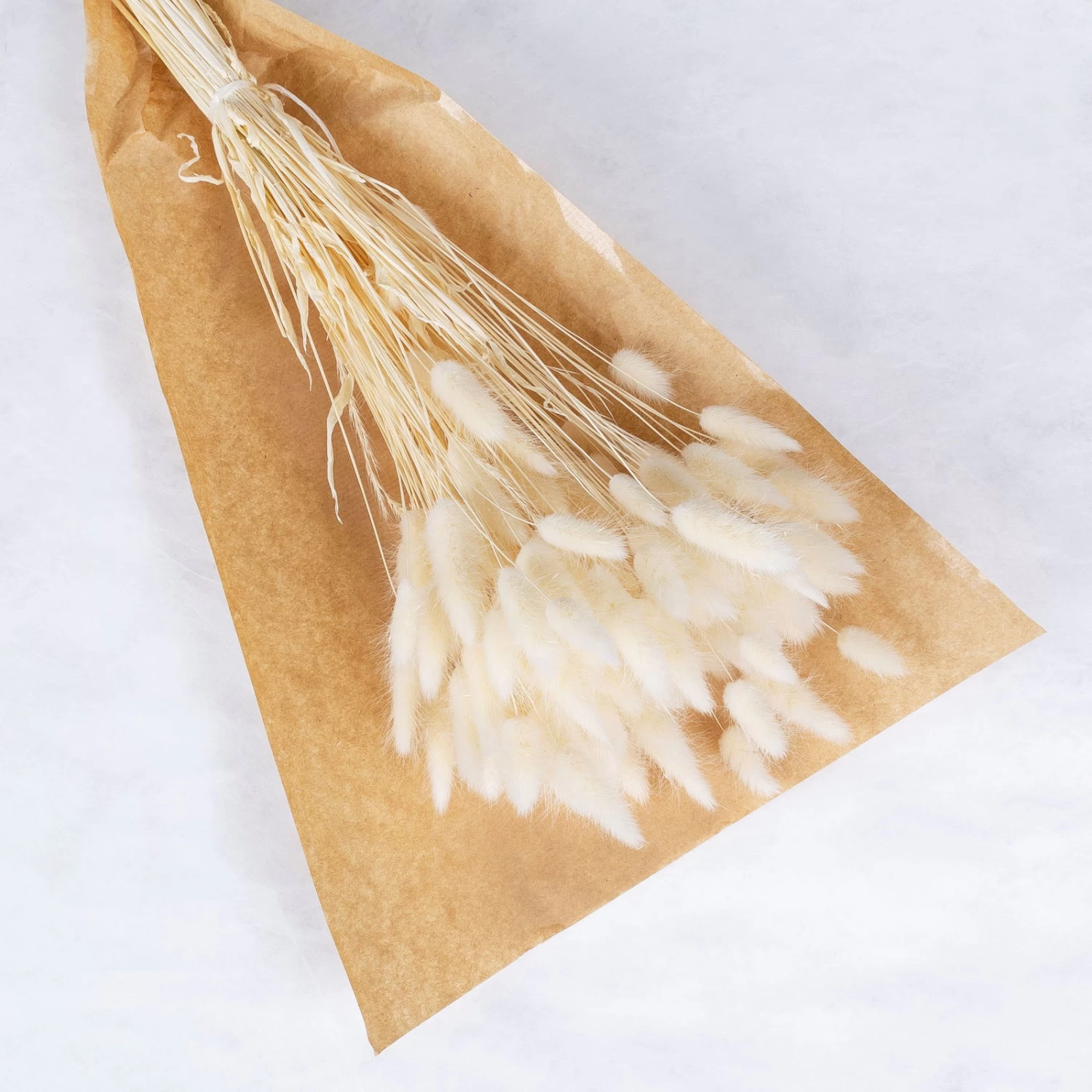 Samtgras Im Bund, Gebleicht Und Getrocknet, Ca. 65 Cm 2 Samtgras Im Bund, Gebleicht Und Getrocknet, Ca. 65 Cm – Bild 2