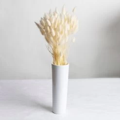 Samtgras Im Bund, Gebleicht Und Getrocknet, Ca. 65 Cm 5 Samtgras Im Bund, Gebleicht Und Getrocknet, Ca. 65 Cm -Gartenbedarf Verkäufe 1055300010 Lagurus gebleicht 2 89168