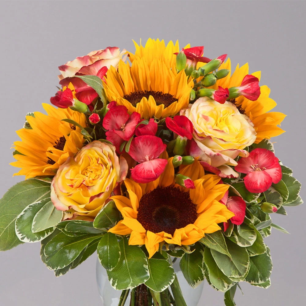 Blumenstrauß 'Viel Glück' Inkl. Gratis Grußkarte 1 Blumenstrauß 'Viel Glück' Inkl. Gratis Grußkarte