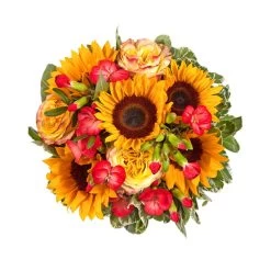 Blumenstrauß 'Viel Glück' Inkl. Gratis Grußkarte 7 Blumenstrauß 'Viel Glück' Inkl. Gratis Grußkarte -Gartenbedarf Verkäufe 1110600042 Sommer Orange D28cm 2 6662