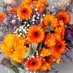 Blumenstrauß 'Rotterdam' Inkl. Gratis Grußkarte 7 Blumenstrauß 'Rotterdam' Inkl. Gratis Grußkarte -Gartenbedarf Verkäufe 1110600099 strauss rotterdam setting 2 121253