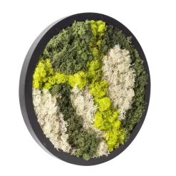 Rundes Moosbild Mit Schwarzem Rahmen, 38 Cm Ø 8 Rundes Moosbild Mit Schwarzem Rahmen, 38 Cm Ø -Gartenbedarf Verkäufe 1530150084 Moosbild rund 38 cm 1 115775