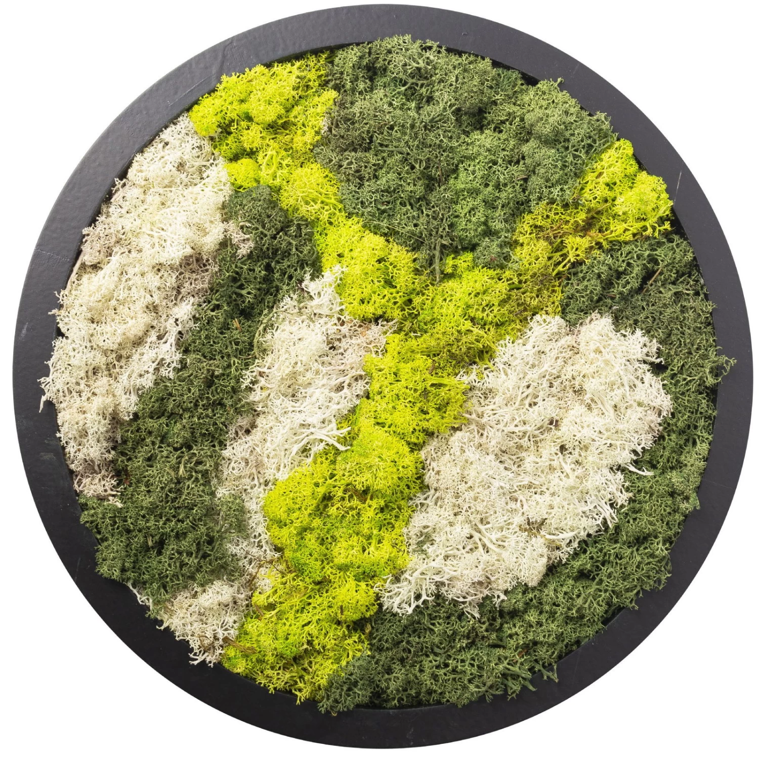 Rundes Moosbild Mit Schwarzem Rahmen, 38 Cm Ø 2 Rundes Moosbild Mit Schwarzem Rahmen, 38 Cm Ø – Bild 2