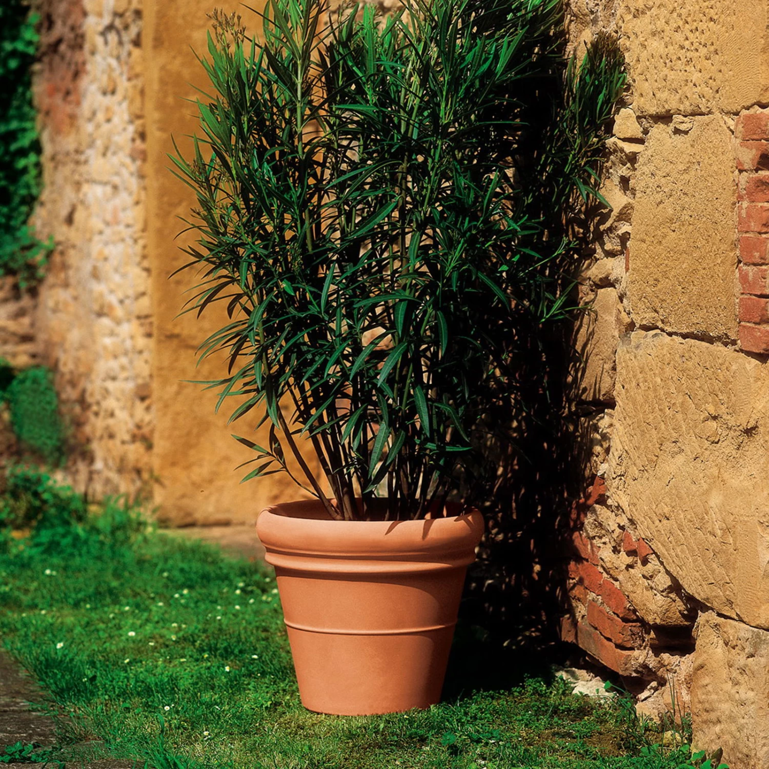 Pflanzkübel Doppio Bordo Terra, Ø 35 X H 32 Cm 1 Pflanzkübel Doppio Bordo Terra, Ø 35 X H 32 Cm