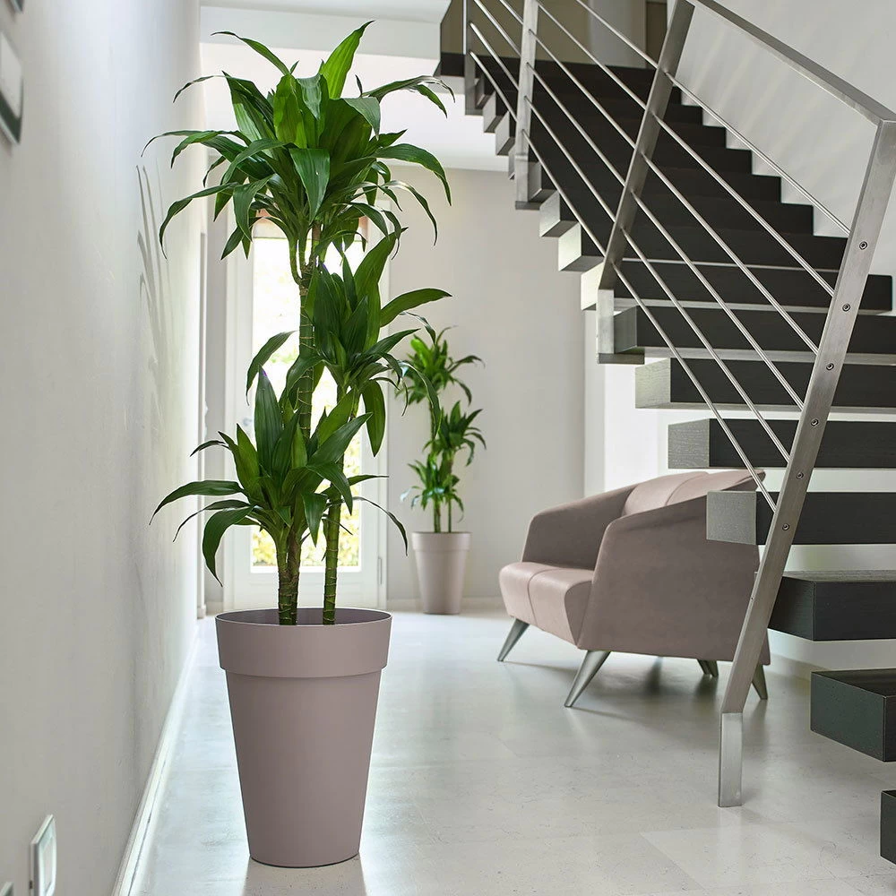 Pflanzkübel Liken Taupe 1 Pflanzkübel Liken Taupe