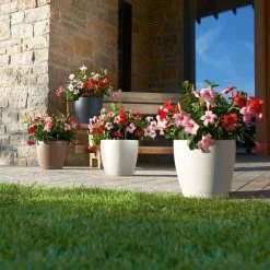 LECHUZA Pflanzgefäß 'Classico Color 70', Weiß, Ø 70 X H 64,5 Cm 5 LECHUZA Pflanzgefäß 'Classico Color 70', Weiß, Ø 70 X H 64,5 Cm -Gartenbedarf Verkäufe 3210103918 Pflanzgefaess Classico Color 60 All in 1 weiss 3 109195