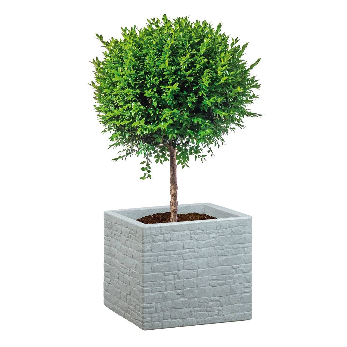 Pflanzgefäß 'Muretto', Grau, L 29 X B 29 X H 27 Cm 1 Pflanzgefäß 'Muretto', Grau, L 29 X B 29 X H 27 Cm