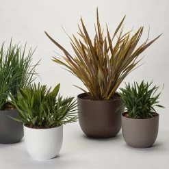 Pflanzkübel 'Rio', Weiß, Ø 39 X H 32,5 Cm -Gartenbedarf Verkäufe 3210104130 3210104131 3210104132 3210104133 pflanzkuebel rio 122622