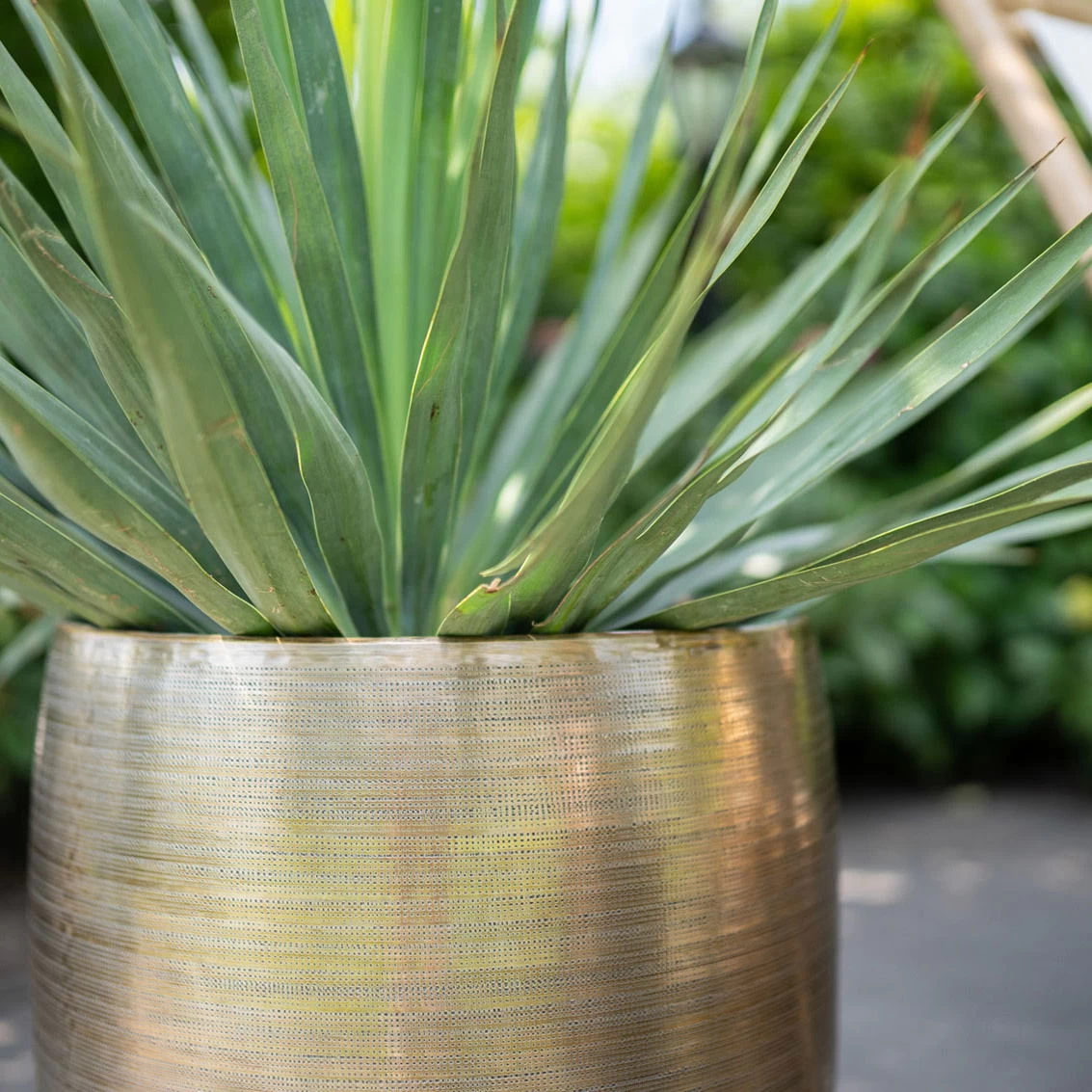 Pflanzgefäß 'Rowen', Gold, Ø 42 X H 41 Cm 4 Pflanzgefäß 'Rowen', Gold, Ø 42 X H 41 Cm – Bild 4