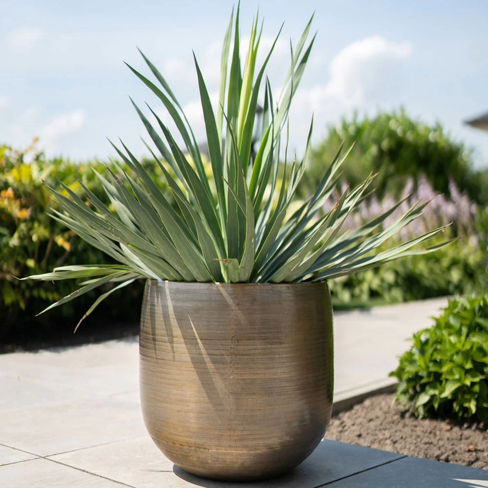 Pflanzgefäß 'Rowen', Gold, Ø 42 X H 41 Cm 1 Pflanzgefäß 'Rowen', Gold, Ø 42 X H 41 Cm