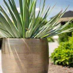 Pflanzgefäß 'Rowen', Gold, Ø 42 X H 41 Cm 9 Pflanzgefäß 'Rowen', Gold, Ø 42 X H 41 Cm -Gartenbedarf Verkäufe 3210801622 Pflanzgefaess Rowen gold D 42 x H 41 cm 4 114991