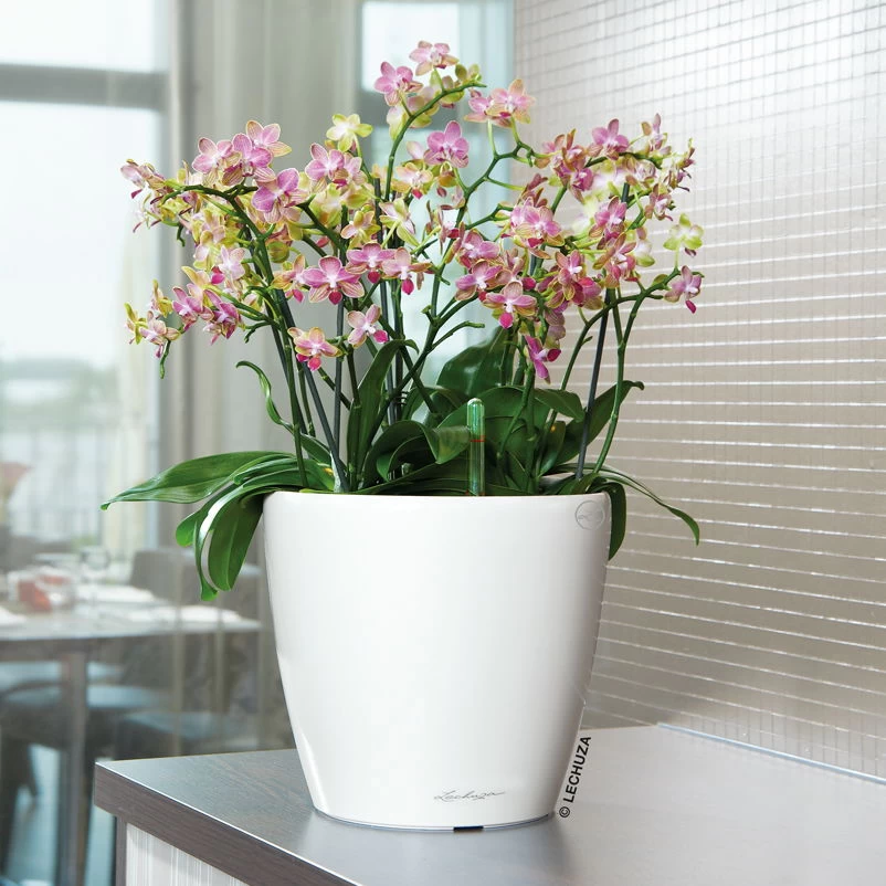 LECHUZA Classico Premium 35 LS, Weiß Hochglanz, All-in-One-Set, Ø 35 Cm, H:33 Cm 1 LECHUZA Classico Premium 35 LS, Weiß Hochglanz, All-in-One-Set, Ø 35 Cm, H:33 Cm