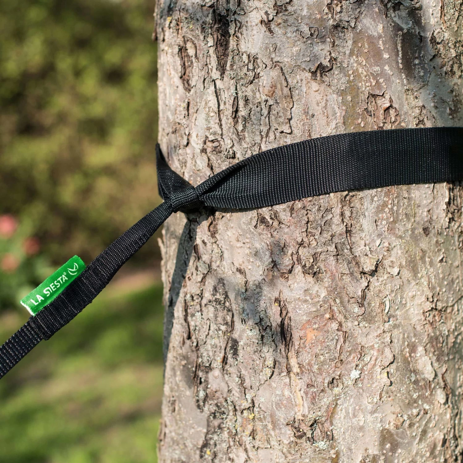 LA SIESTA Doppel-Reisehängematte Colibri 3.0, Palm, Bis 180 Kg, Reißfest, Leicht 7 LA SIESTA Doppel-Reisehängematte Colibri 3.0, Palm, Bis 180 Kg, Reißfest, Leicht – Bild 7