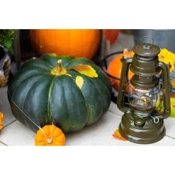 Feuerhand Sturmlaterne 'Baby Special 267', Olive, 26,5 X 13,5 X 15 Cm -Gartenbedarf Verkäufe 3990100192 feuerhand sturmlaterne 3 121597