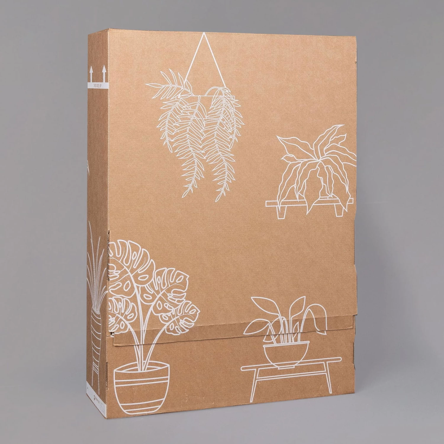 Efeutute 'Marble Queen' Inkl. Übertopf Vibes Rosa, Topf-Ø 12 Cm, Höhe Ca. 15 Cm 7 Efeutute 'Marble Queen' Inkl. Übertopf Vibes Rosa, Topf-Ø 12 Cm, Höhe Ca. 15 Cm – Bild 7