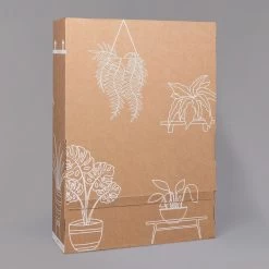 Gardenie, Mit Keramiktopf Dallas Anthrazit, Topf-Ø 13 Cm 15 Gardenie, Mit Keramiktopf Dallas Anthrazit, Topf-Ø 13 Cm -Gartenbedarf Verkäufe B2 02 Karton Sets mit Keramik 1 126161 5