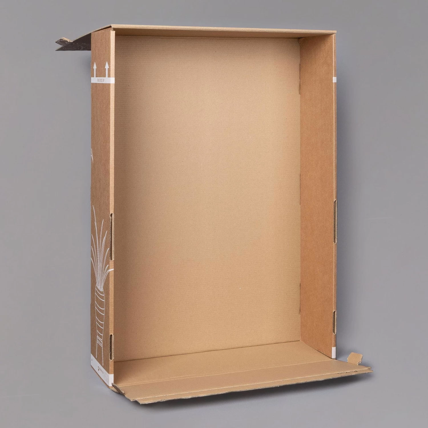 Rose, Rot, Mit Topf Dallas Weiß, Topf-Ø 13 Cm, 3er-Set 3 Rose, Rot, Mit Topf Dallas Weiß, Topf-Ø 13 Cm, 3er-Set – Bild 3