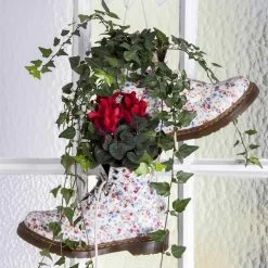 Alpenveilchen 'Outland', Rot/weiß, Topf-Ø 10,5 Cm, 6er-Set 13 Alpenveilchen 'Outland', Rot/weiß, Topf-Ø 10,5 Cm, 6er-Set -Gartenbedarf Verkäufe Cyclamen persicum rot 4 69027