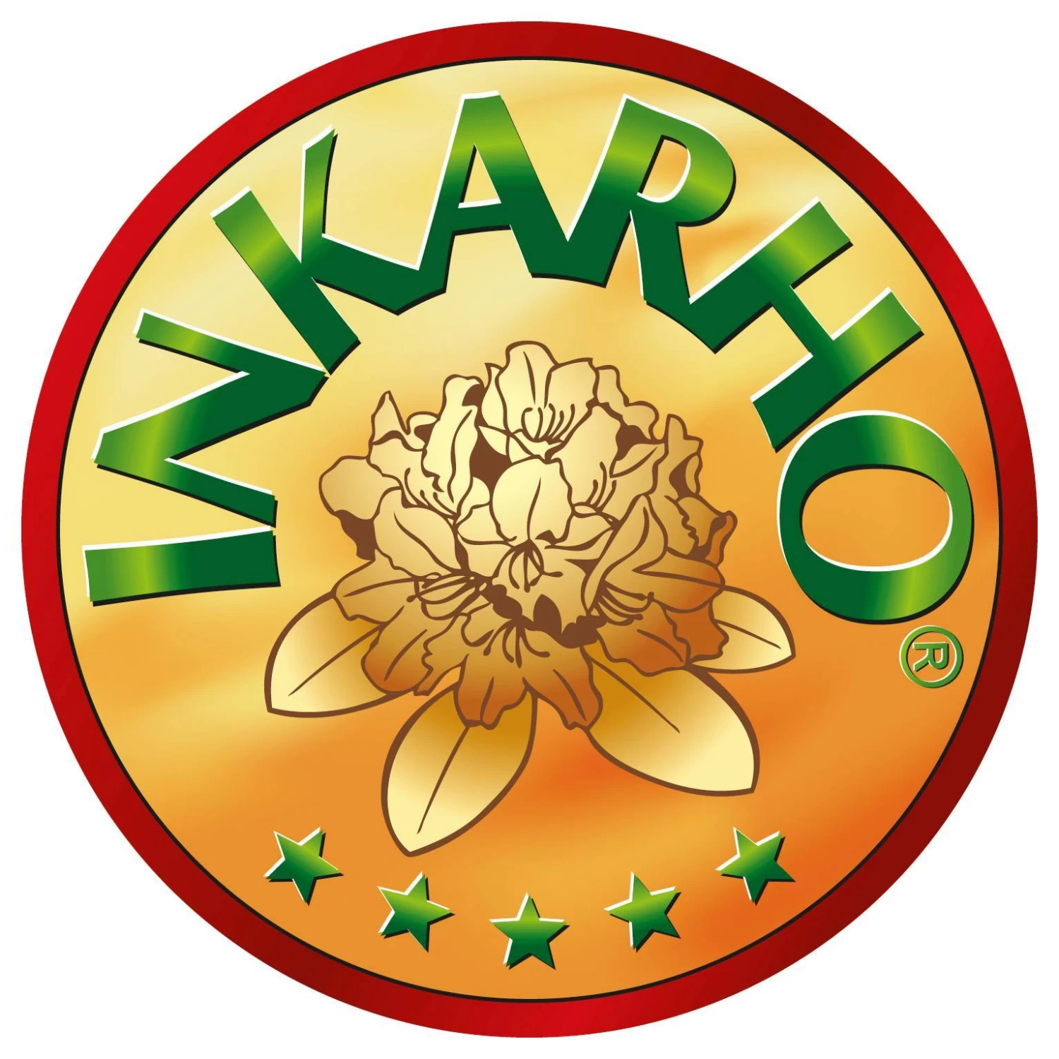 Rhododendron 'Bloombux'® Magenta, 6er-Set, Höhe 20-25 Cm, Topf 2 Liter 3 Rhododendron 'Bloombux'® Magenta, 6er-Set, Höhe 20-25 Cm, Topf 2 Liter – Bild 3