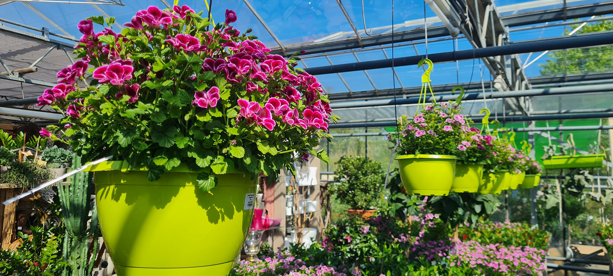 Gartenbedarf Verkäufe -Gartenbedarf Verkäufe 2